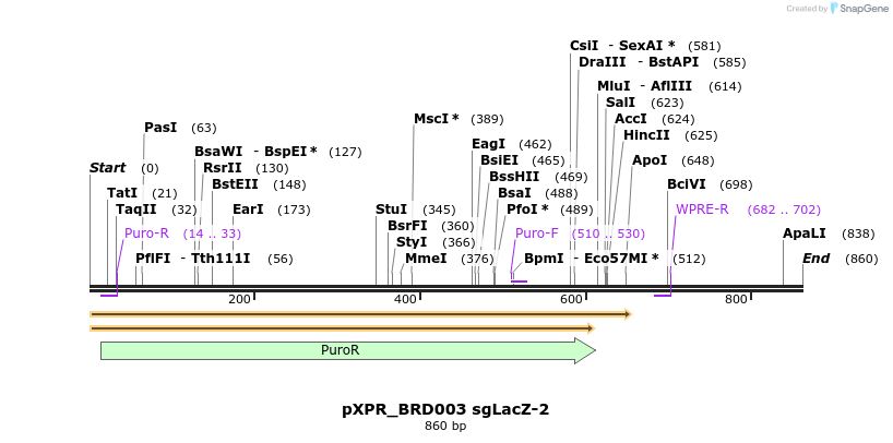 147619_map
