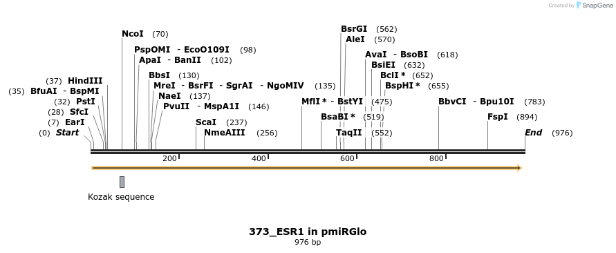 147620_map