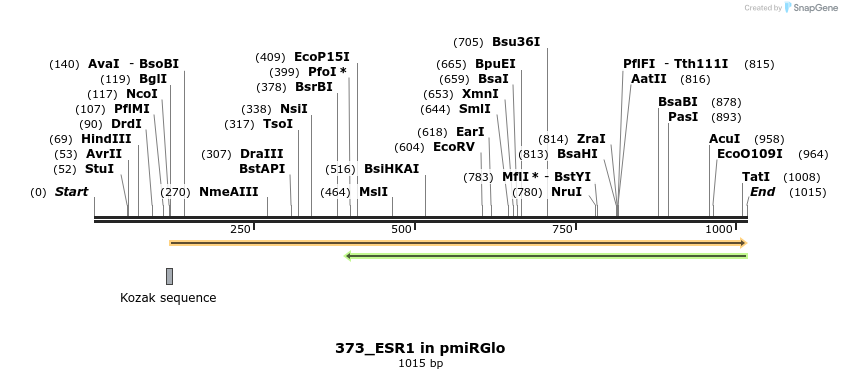 147621_map