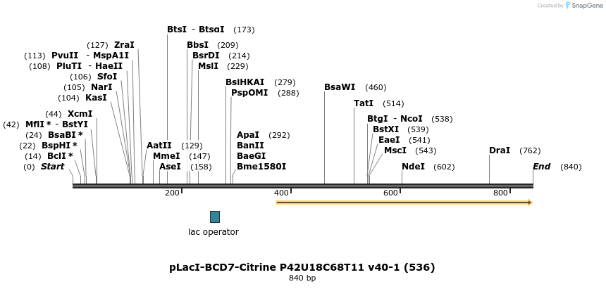 147630_map