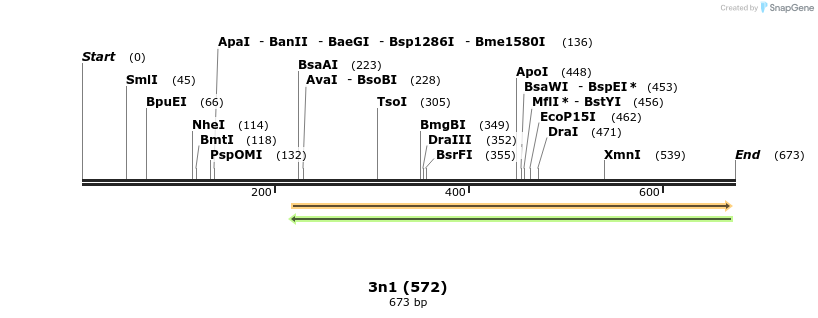 147633_map