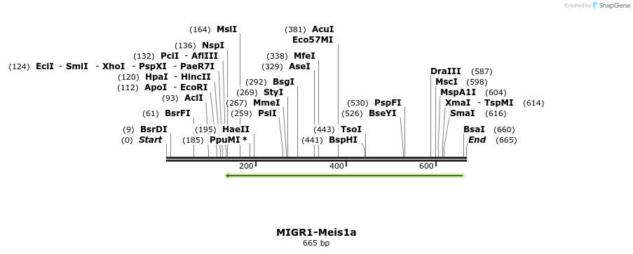 147647_map