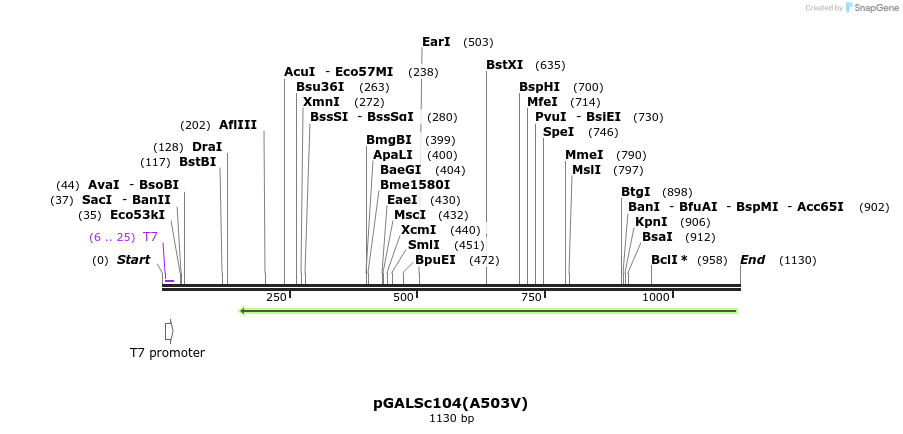 147648_map