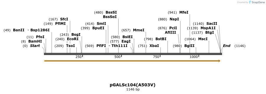 147649_map