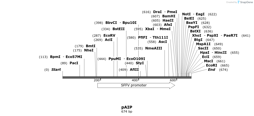 147651_map