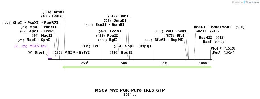 147655_map