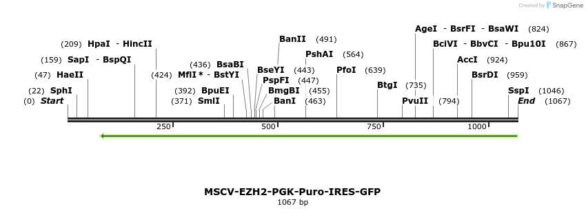 147656_map