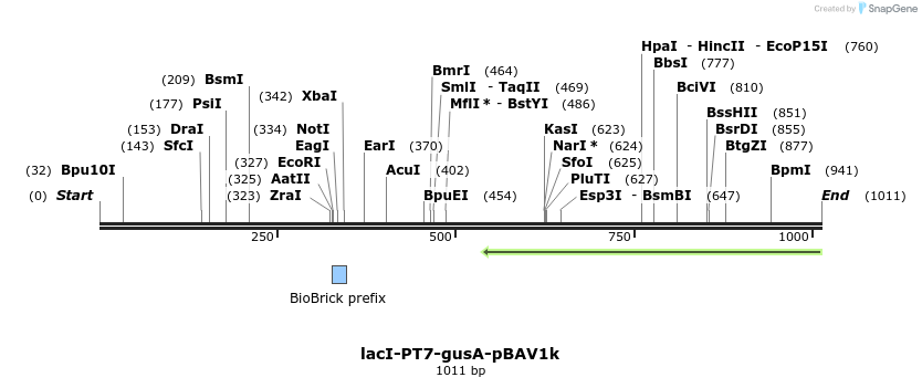 147677_map