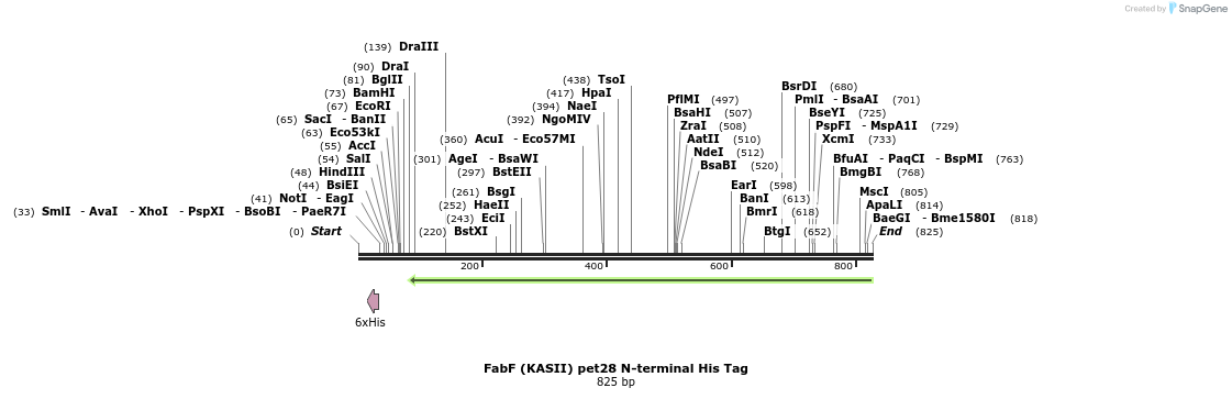 147702_map