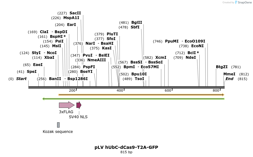 147704_map