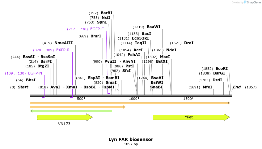 147754_map