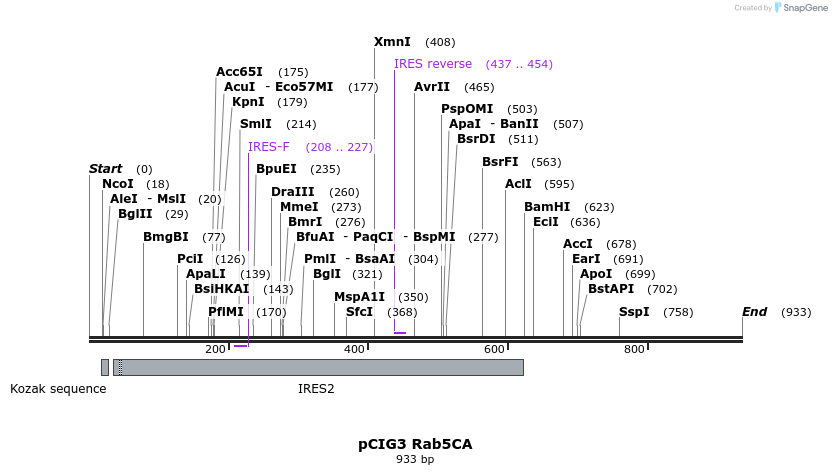 147763_map