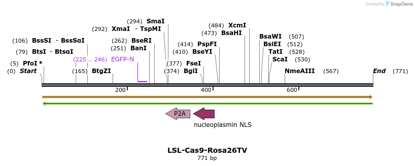 147766_map
