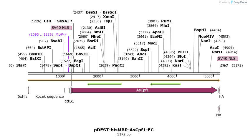 147770_map