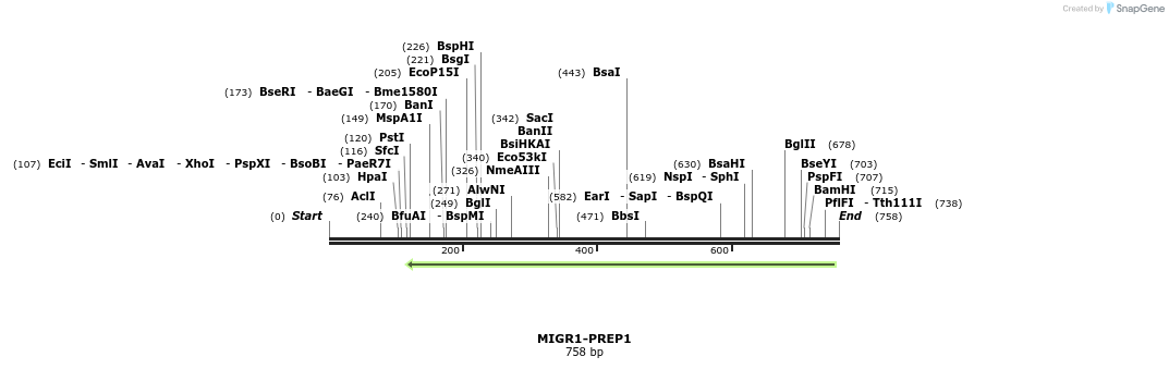 147786_map