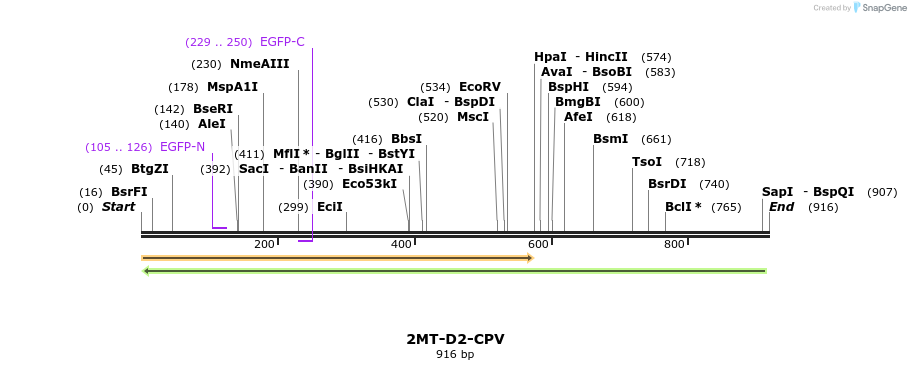 147788_map