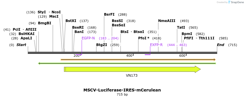 147791_map