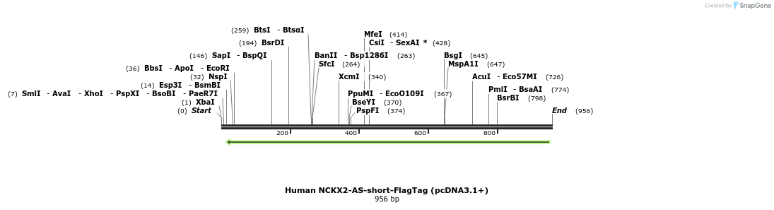 147793_map