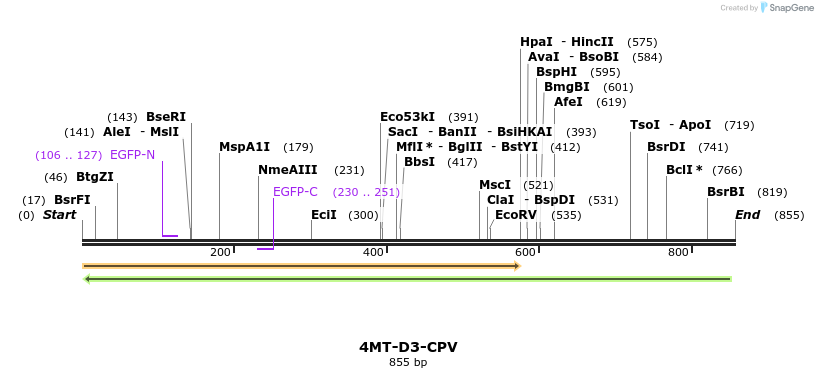 147794_map