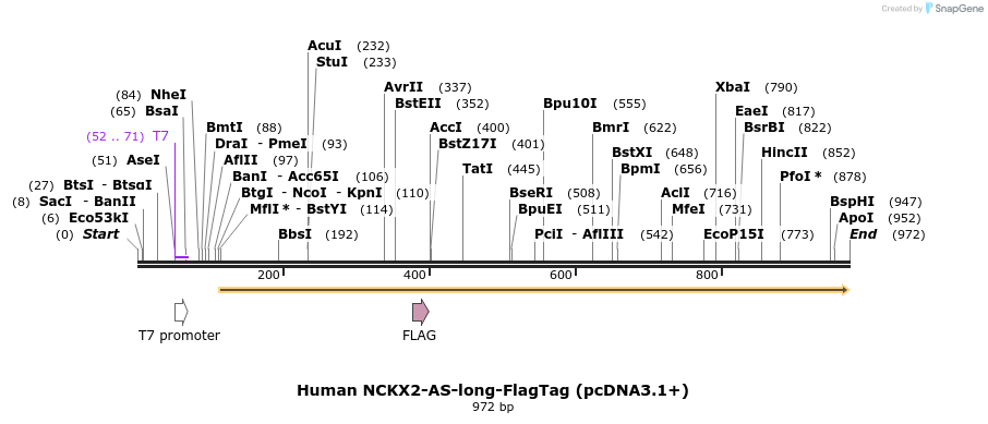 147795_map