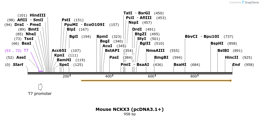 147802_map