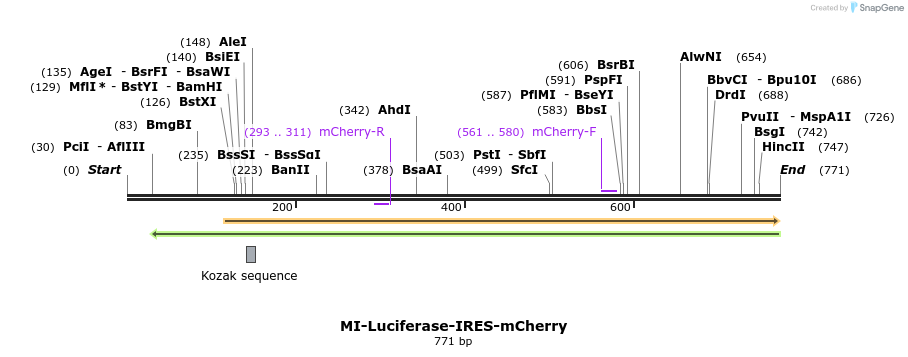 147803_map