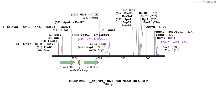 147805_map