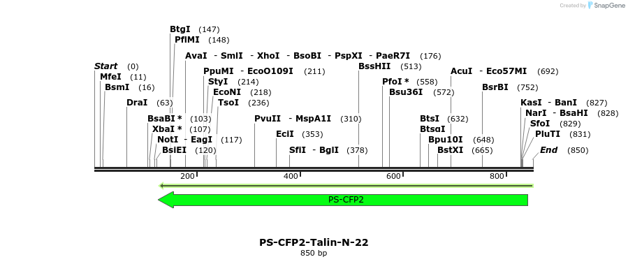 147806_map