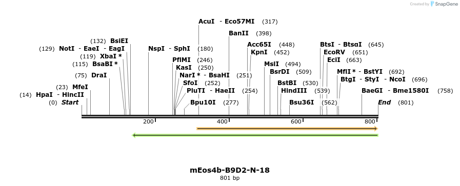 147809_map