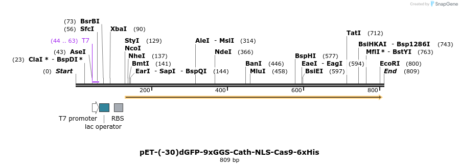 147810_map
