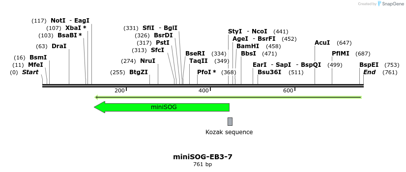 147812_map