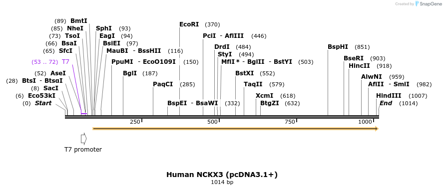 147813_map