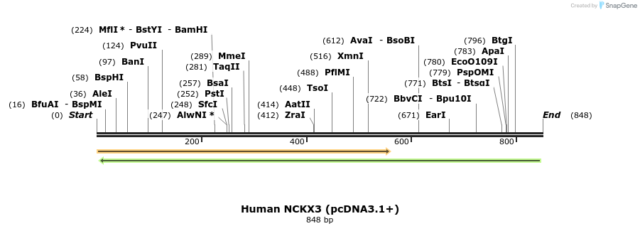 147816_map