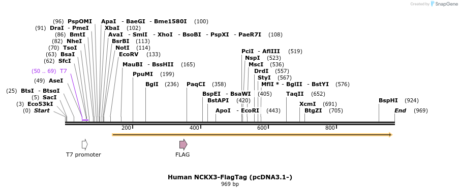 147819_map
