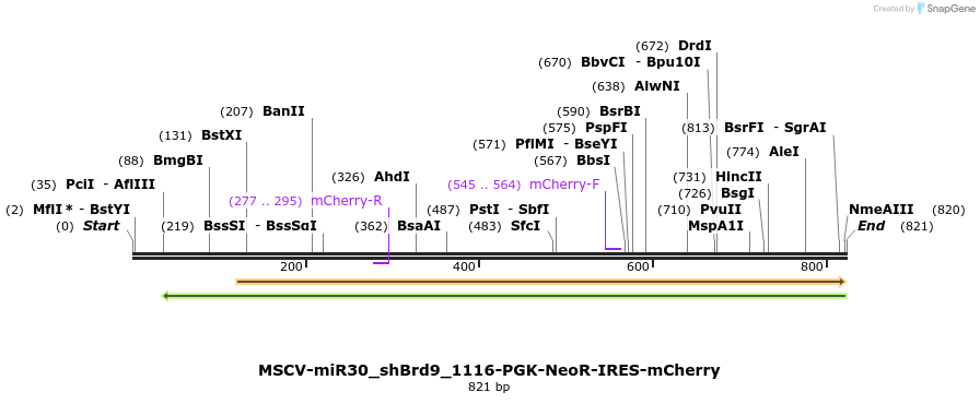 147829_map