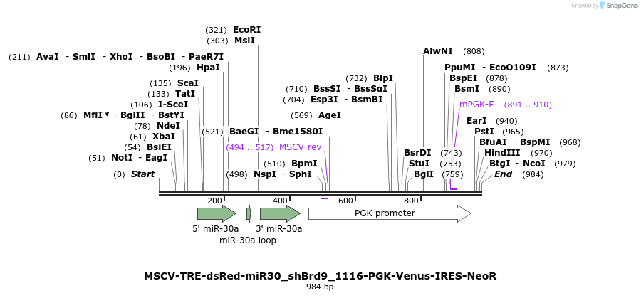147840_map