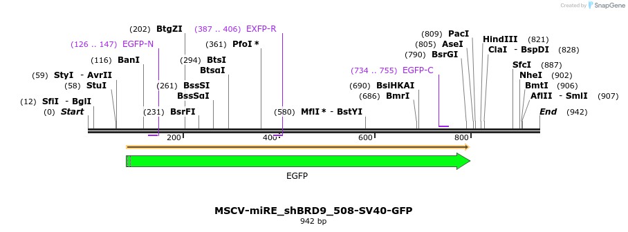 147844_map