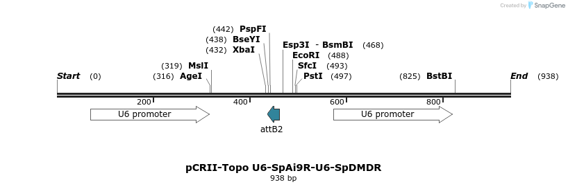 147845_map