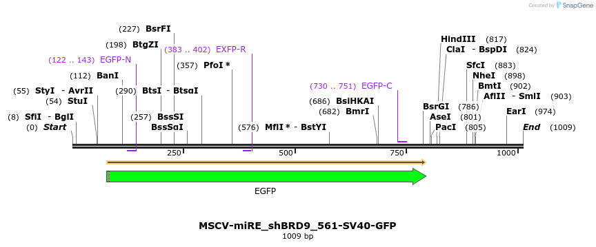 147850_map