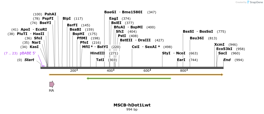 147864_map