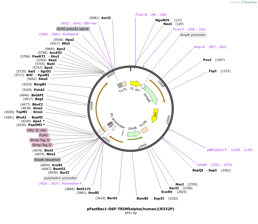 147872_map