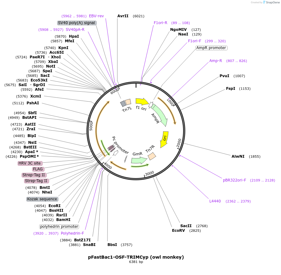 147874_map