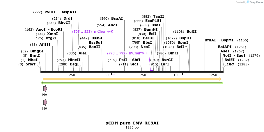 147880_map
