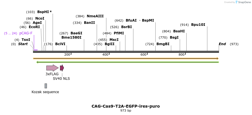 147886_map