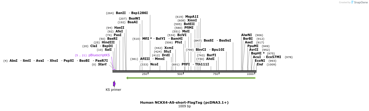 147889_map