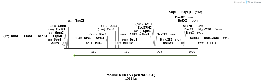147894_map