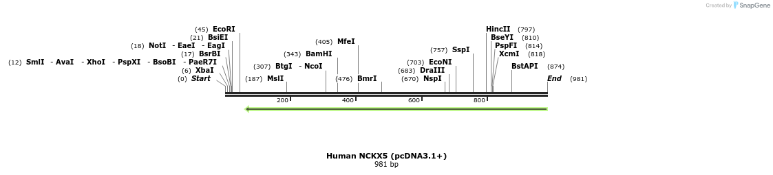147897_map