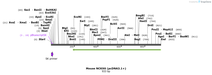 147901_map