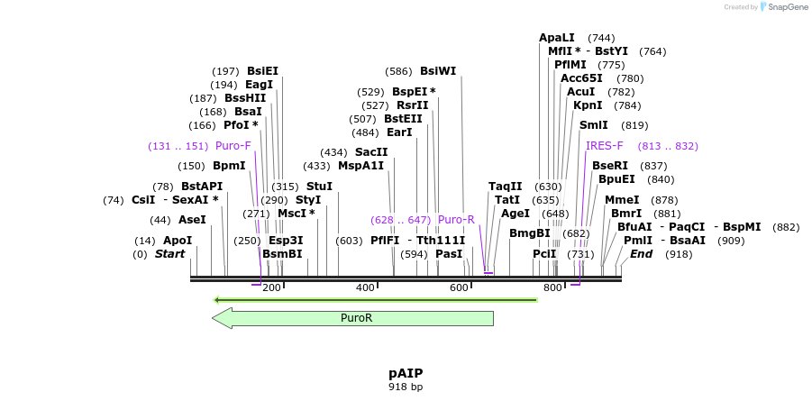 147907_map