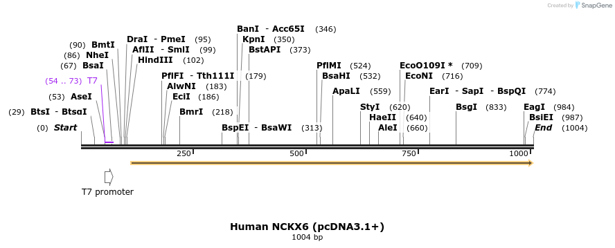 147914_map